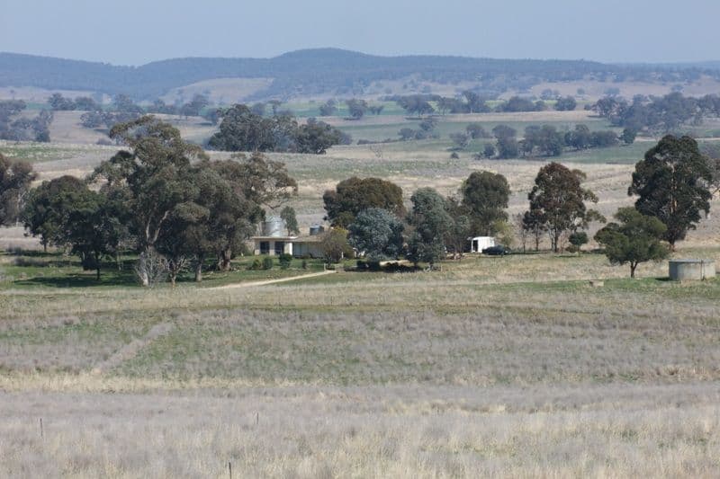 1455 Euchareena Road, MOLONG NSW 2866, Molong - Thumbnail 2