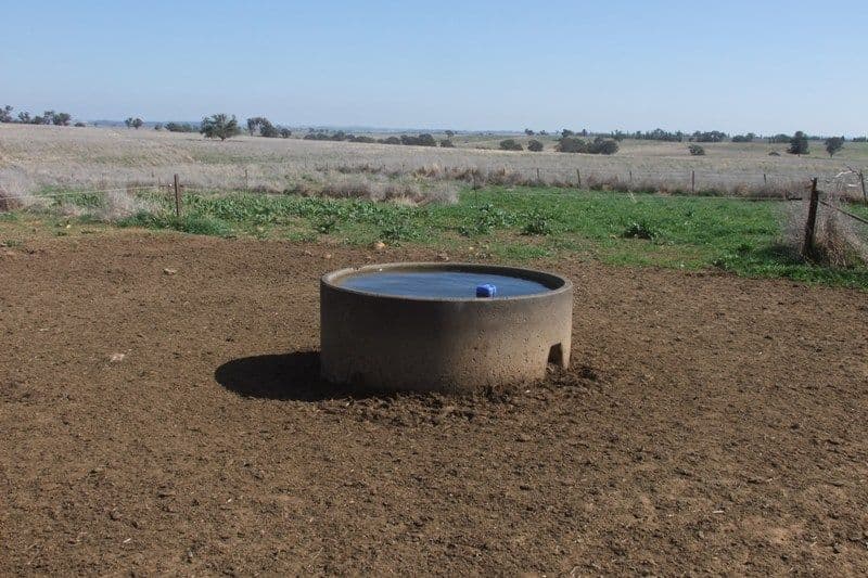 1455 Euchareena Road, MOLONG NSW 2866, Molong - Thumbnail 7
