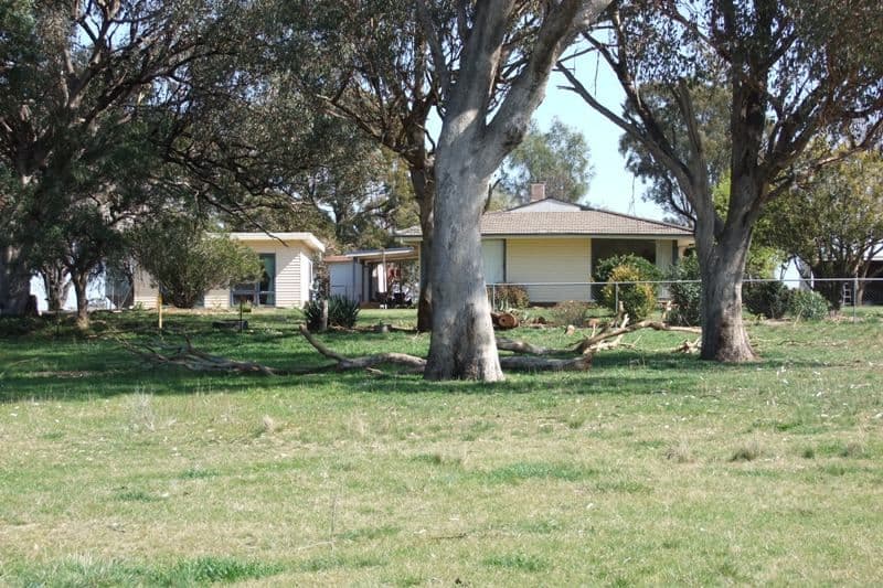 1455 Euchareena Road, MOLONG NSW 2866, Molong - Thumbnail 3