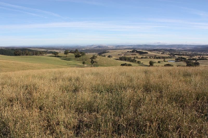 568 Sunny Corner Road, BATHURST NSW 2795, Bathurst - Image 1