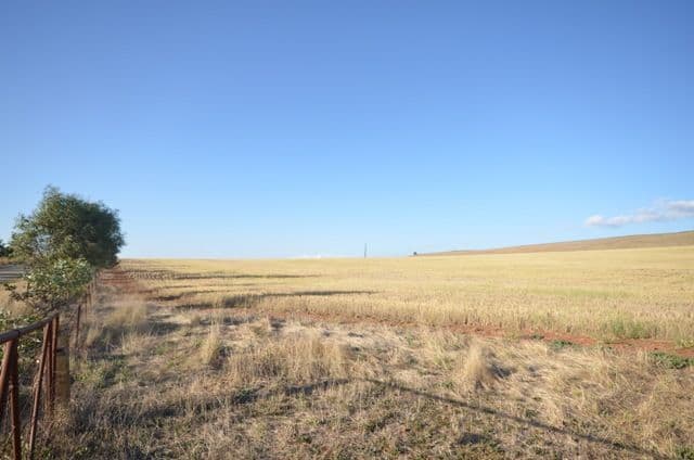 Sec 581and582 Riley Road, FARRELL FLAT SA 5416, Farrell Flat - Thumbnail 6
