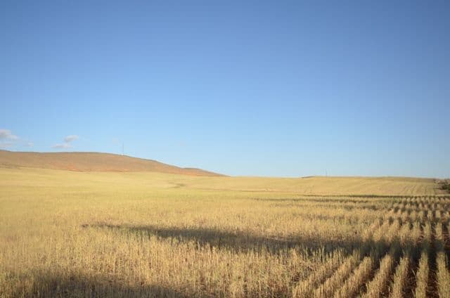 Sec 581and582 Riley Road, FARRELL FLAT SA 5416, Farrell Flat - Thumbnail 2