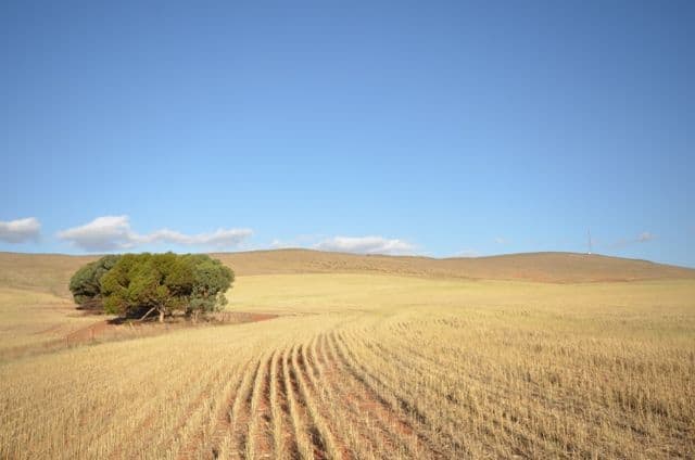 Sec 581and582 Riley Road, FARRELL FLAT SA 5416, Farrell Flat - Image 1