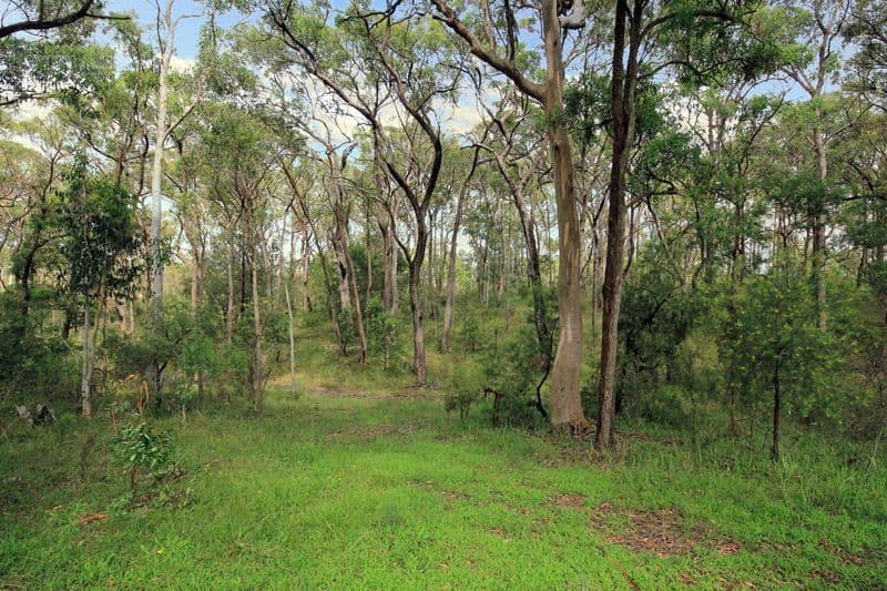 135 Stratford Road, TAHMOOR NSW 2573, Tahmoor - Thumbnail 6