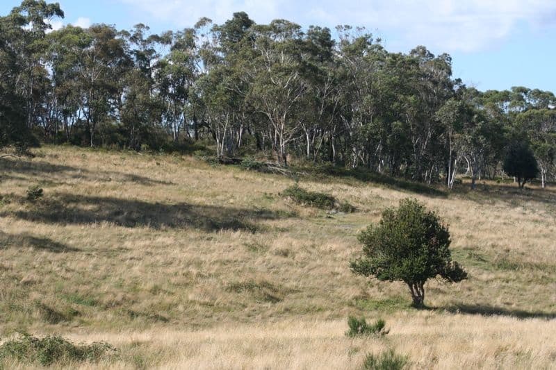 Lot 25 Range Road, MEADOW FLAT NSW 2795, Meadow Flat - Thumbnail 2