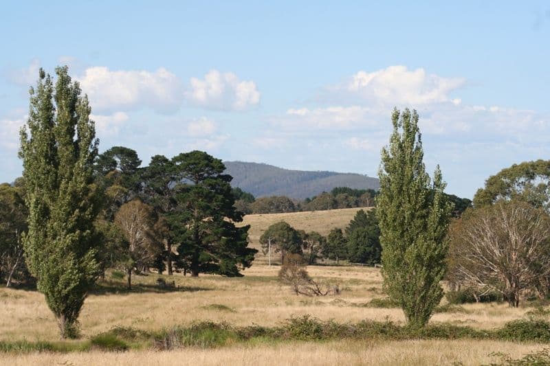 Lot 25 Range Road, MEADOW FLAT NSW 2795, Meadow Flat - Thumbnail 5