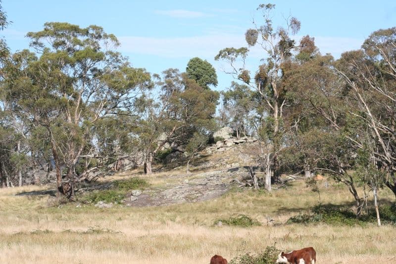 Lot 25 Range Road, MEADOW FLAT NSW 2795, Meadow Flat - Thumbnail 7