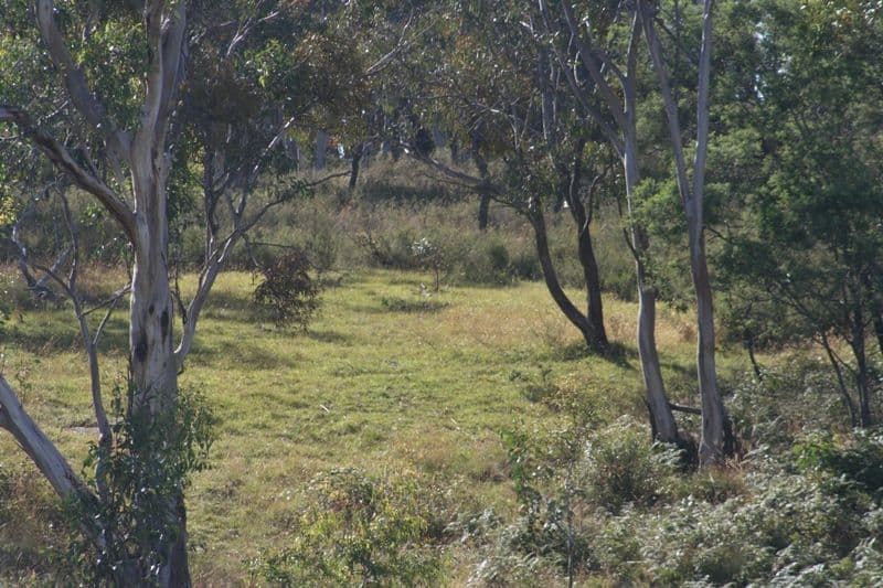 Lot 25 Range Road, MEADOW FLAT NSW 2795, Meadow Flat - Thumbnail 6