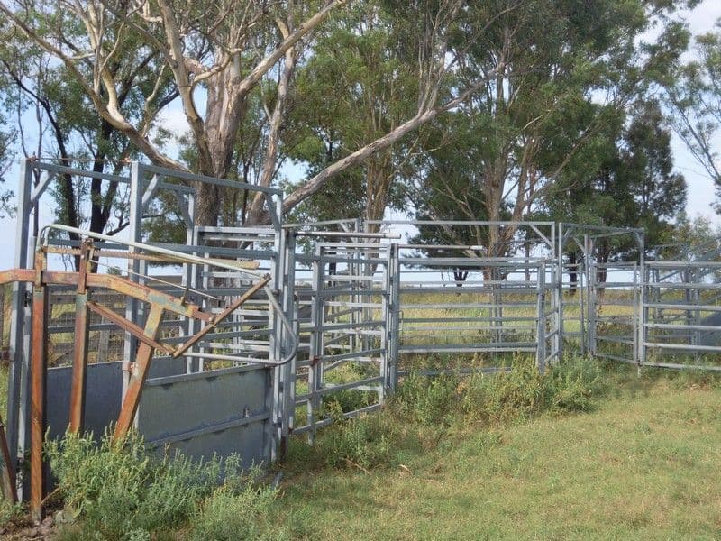 0 Clifton - Pittsworth Road, PITTSWORTH QLD 4356, Pittsworth - Thumbnail 4