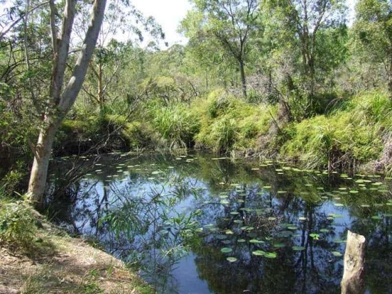 BEERWAH QLD 4519, Beerwah - Thumbnail 3