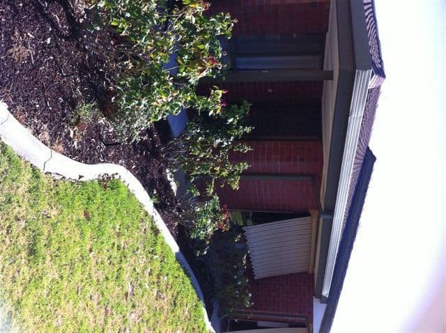 1/8 Polst Avenue, PARA VISTA SA 5093, Para Vista - Image 1