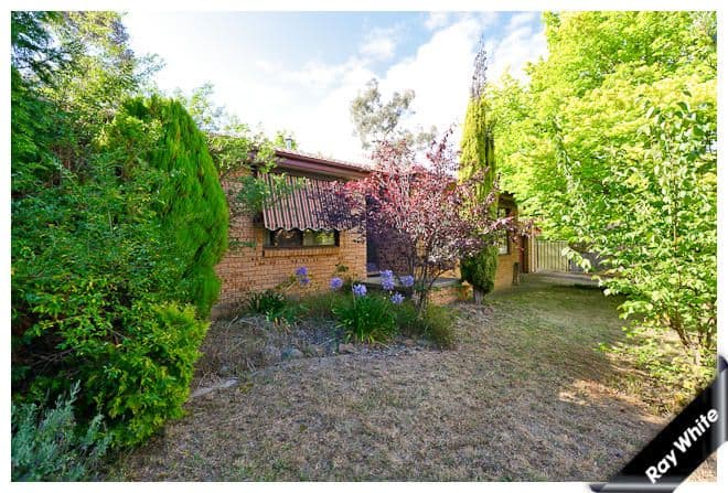 44 Cartwright Street, CHARNWOOD ACT 2615, Charnwood - Image 1