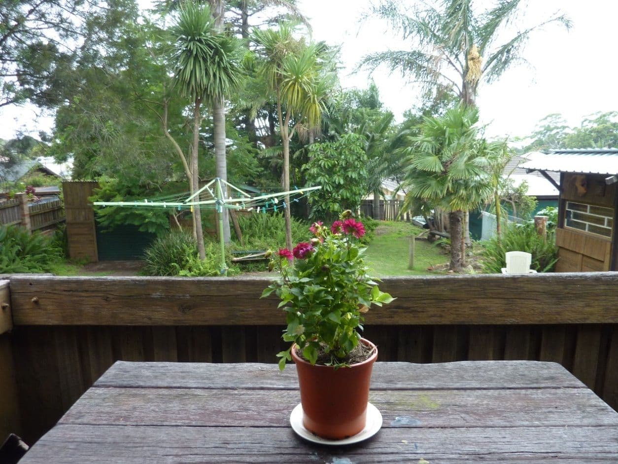 533 Princes Highway, WOONONA NSW 2517, Woonona - Thumbnail 2