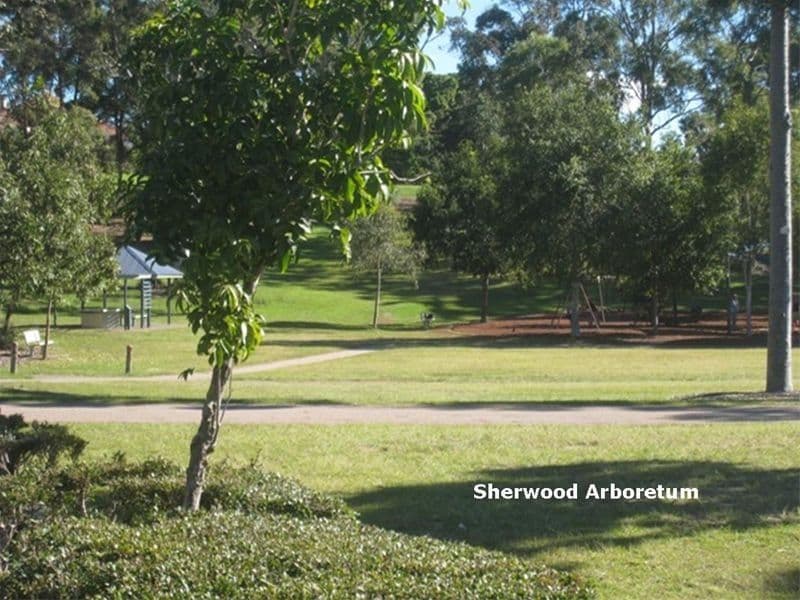 23 Hood Street, SHERWOOD QLD 4075, Sherwood - Thumbnail 3