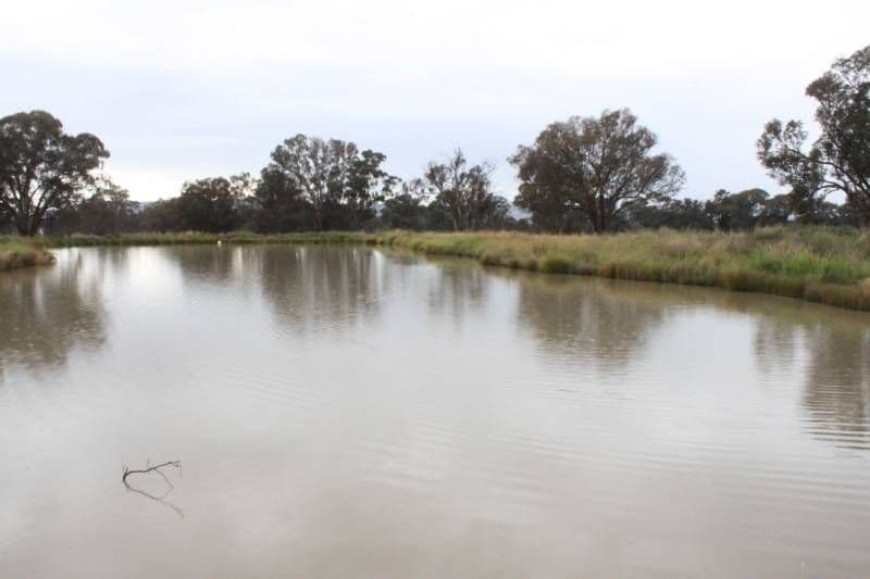 1 "Willow Farm", MANDAGERY NSW 2870, Mandagery - Thumbnail 4