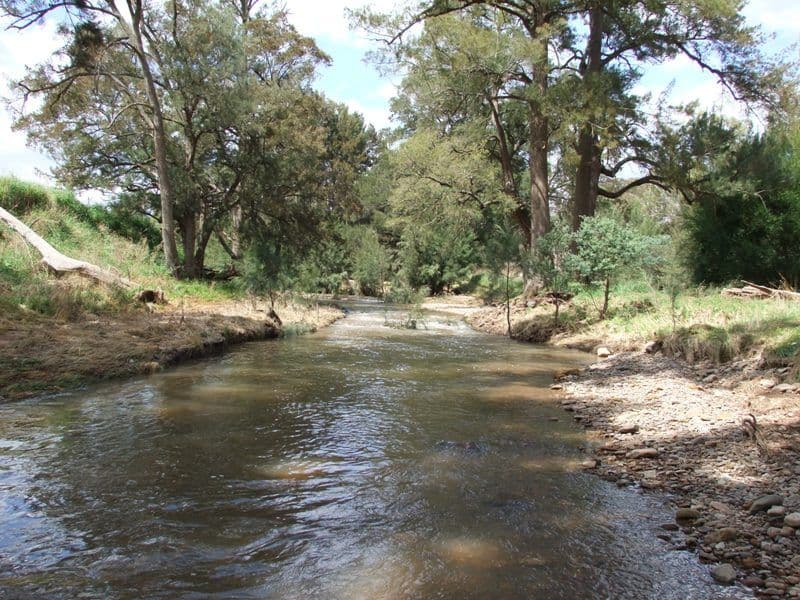 171 St Anthonys Creek Road, BATHURST NSW 2795, Bathurst - Thumbnail 6