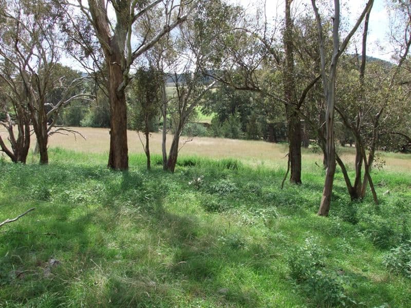 171 St Anthonys Creek Road, BATHURST NSW 2795, Bathurst - Thumbnail 8