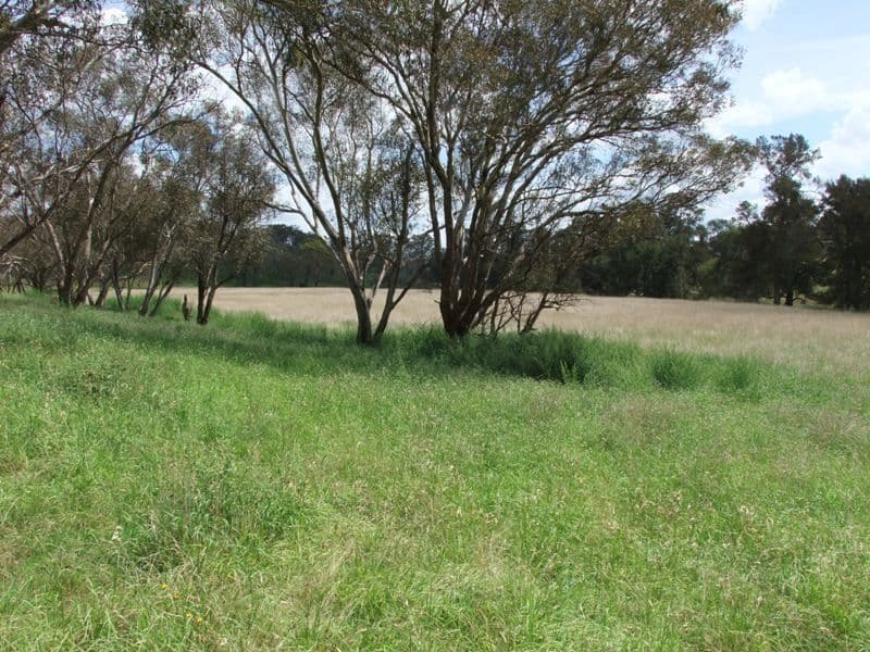 171 St Anthonys Creek Road, BATHURST NSW 2795, Bathurst - Thumbnail 5