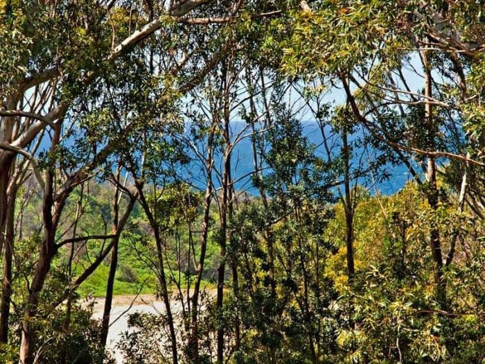 12 Waterford Drive, Sulphur Creek, Sulphur Creek - Thumbnail 2
