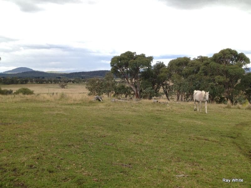 1002 Farringdon, BRAIDWOOD NSW 2622, Braidwood - Thumbnail 8