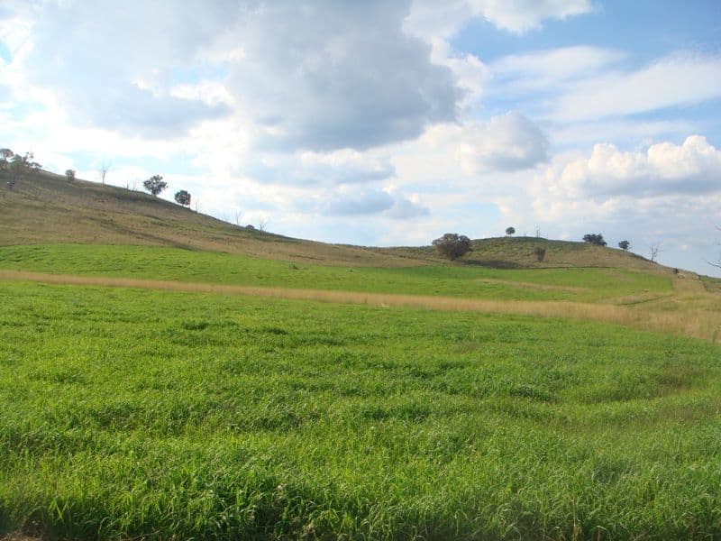 BATHURST NSW 2795, Bathurst - Thumbnail 3