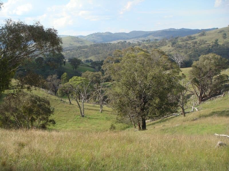 BATHURST NSW 2795, Bathurst - Thumbnail 7