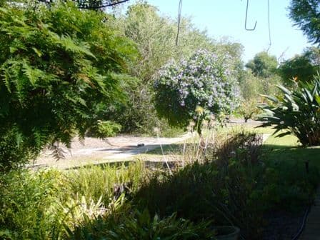 31 Woodland Place, CASUARINA WA 6167, Casuarina - Thumbnail 6