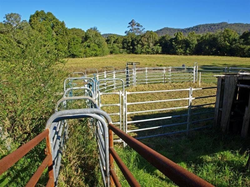 1575 Mandalong Road, DOORALONG NSW 2259, Dooralong - Thumbnail 6