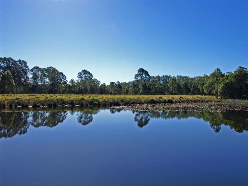 1575 Mandalong Road, DOORALONG NSW 2259, Dooralong - Thumbnail 3