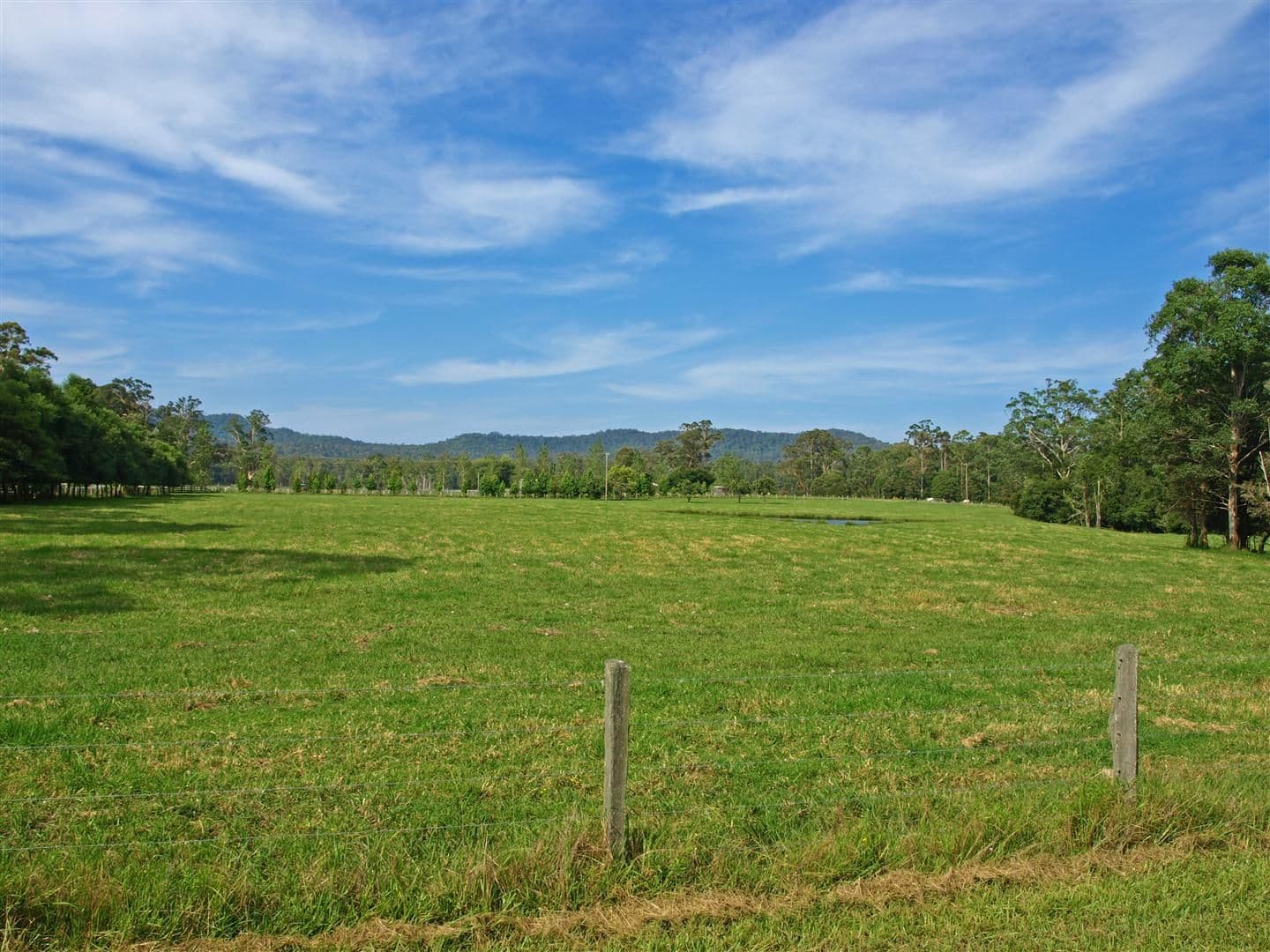 1371 Dooralong Road, DOORALONG NSW 2259, Dooralong - Thumbnail 3