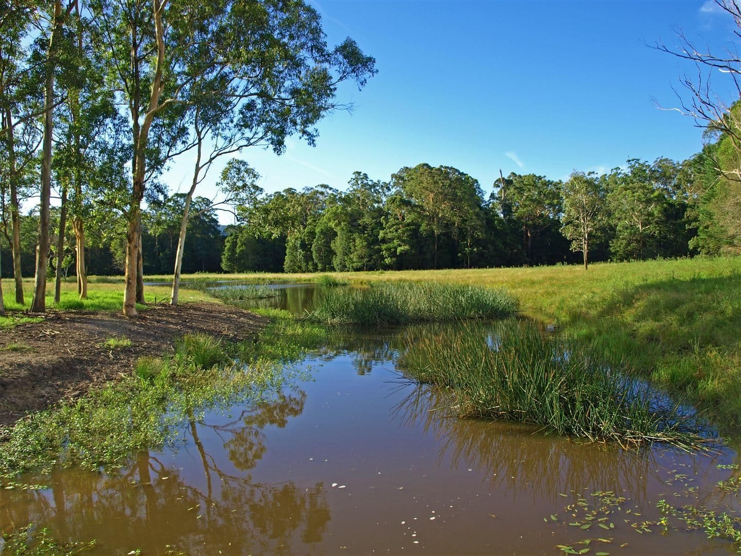 1371 Dooralong Road, DOORALONG NSW 2259, Dooralong - Thumbnail 5