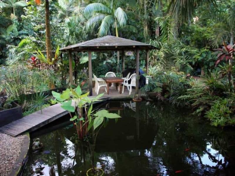 21 Munro Road, BELLENDEN KER QLD 4871, Bellenden Ker - Thumbnail 4