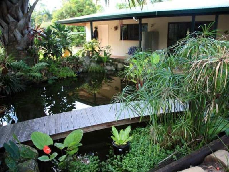 21 Munro Road, BELLENDEN KER QLD 4871, Bellenden Ker - Thumbnail 3
