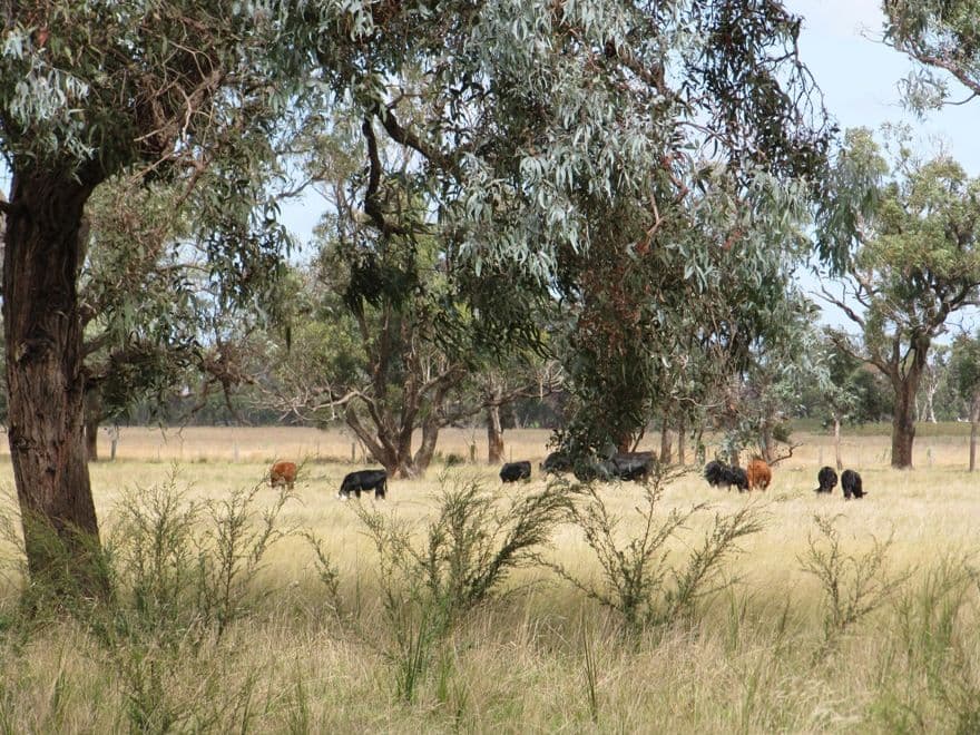 94 Carrs Creek Road, LONGFORD VIC 3851, Longford - Thumbnail 2