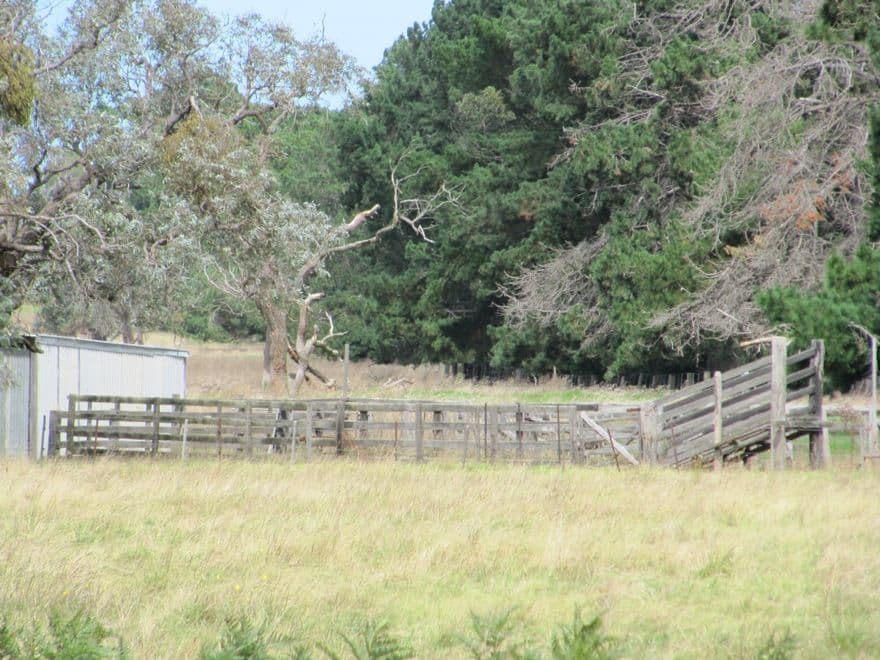 94 Carrs Creek Road, LONGFORD VIC 3851, Longford - Thumbnail 4
