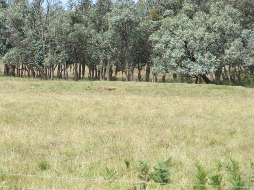 94 Carrs Creek Road, LONGFORD VIC 3851, Longford - Thumbnail 5