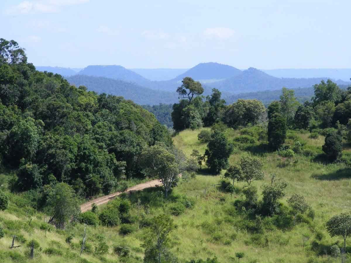 395 Sawpit Gully Road, ROCKMOUNT QLD 4344, Rockmount - Image 1