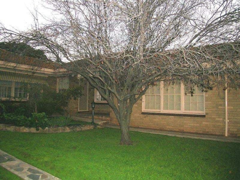 7/486 Portrush Road, LINDEN PARK SA 5065, Linden Park - Image 1