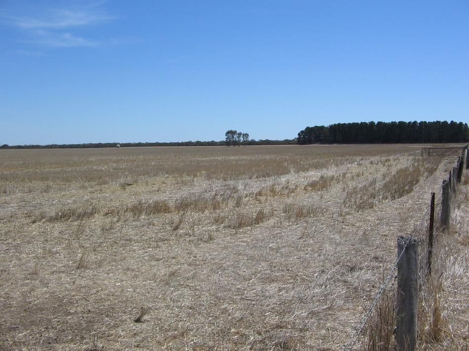 Portion Lot 1 Dukes Highway, WIRREGA SA 5267, Wirrega - Thumbnail 3