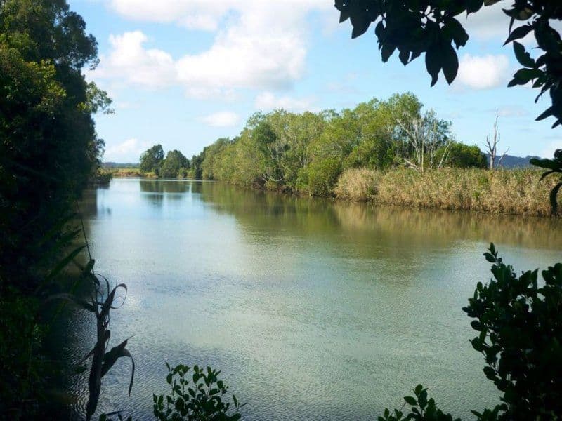 480 Dulguigan Road, MURWILLUMBAH NSW 2484, Murwillumbah - Thumbnail 3