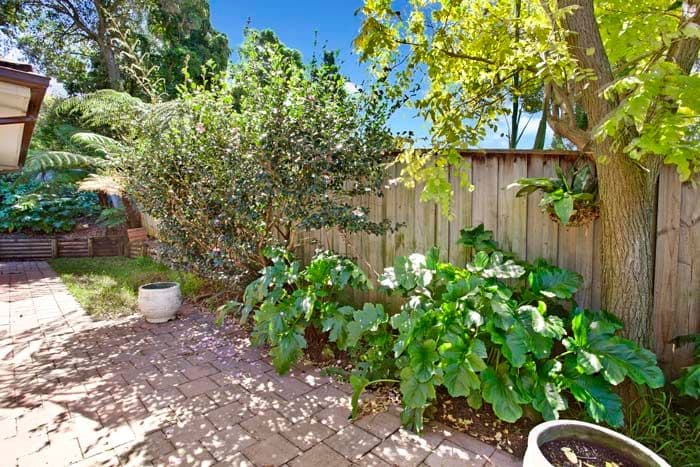 5 Dorothy Street, RYDE NSW 2112, Ryde - Thumbnail 5