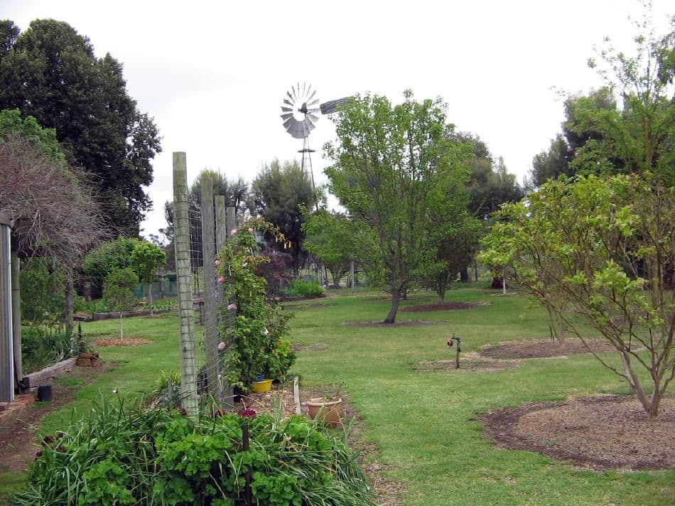 17809 Dukes Highway, BORDERTOWN SA 5268, Bordertown - Thumbnail 5