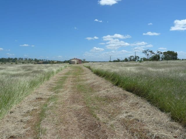 Lot 3 McKenzie Road, ALTON DOWNS QLD 4702, Alton Downs - Thumbnail 5