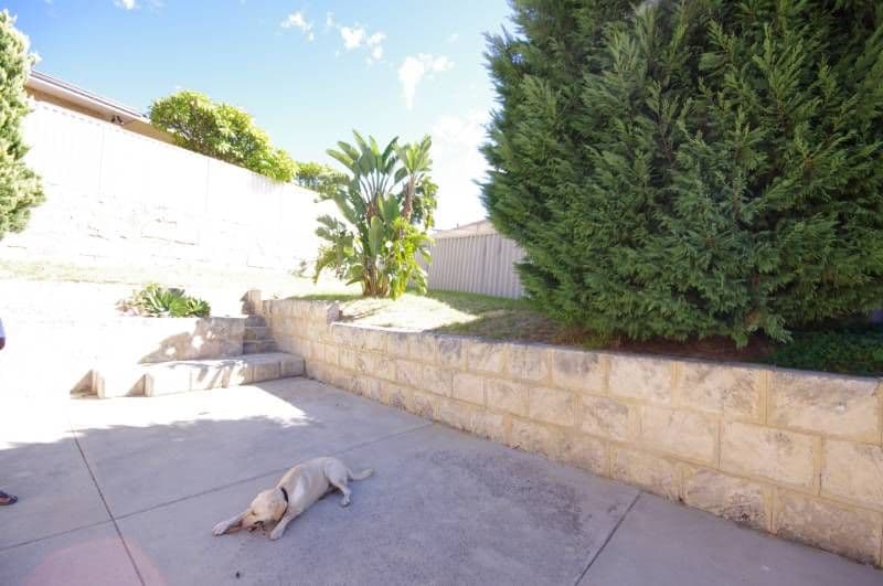 11 Manna Close, MIRRABOOKA WA 6061, Mirrabooka - Thumbnail 8