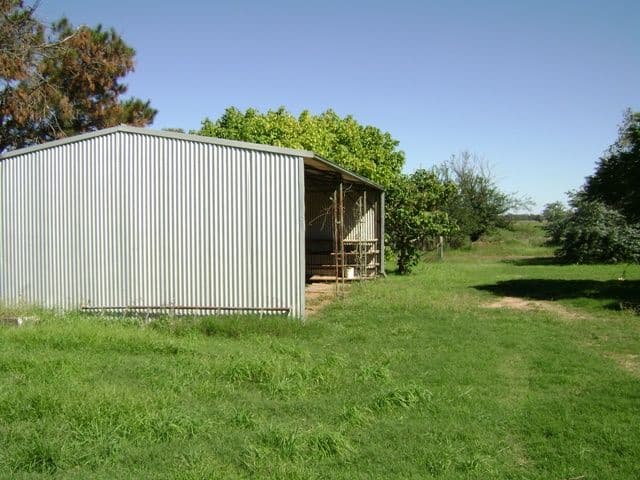 1592 Casuarina Drive, GOOLOOGONG NSW 2805, Gooloogong - Thumbnail 4