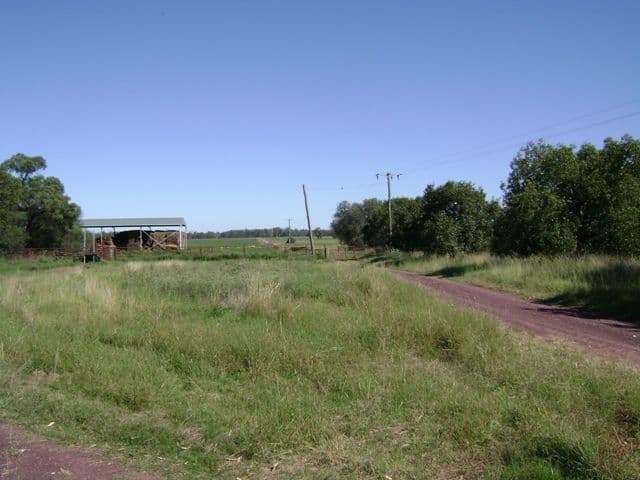 1592 Casuarina Drive, GOOLOOGONG NSW 2805, Gooloogong - Thumbnail 7