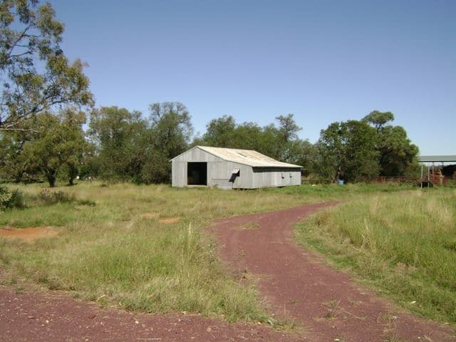 1592 Casuarina Drive, GOOLOOGONG NSW 2805, Gooloogong - Thumbnail 6