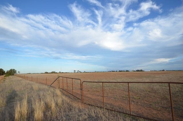 "BUSHMIN FARM" Powerline Road, LONG PLAINS SA 5501, Long Plains - Thumbnail 3