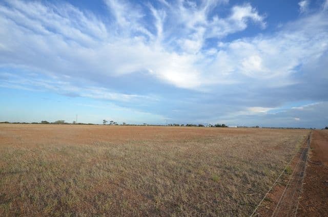 "BUSHMIN FARM" Powerline Road, LONG PLAINS SA 5501, Long Plains - Thumbnail 2