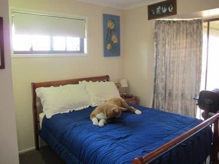 2 Melody Court, WARANA QLD 4575, Warana - Thumbnail 8